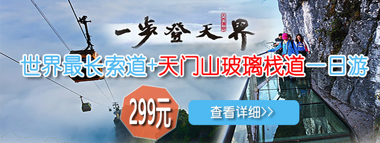 山東泰安東岳泰山衡器有限公司