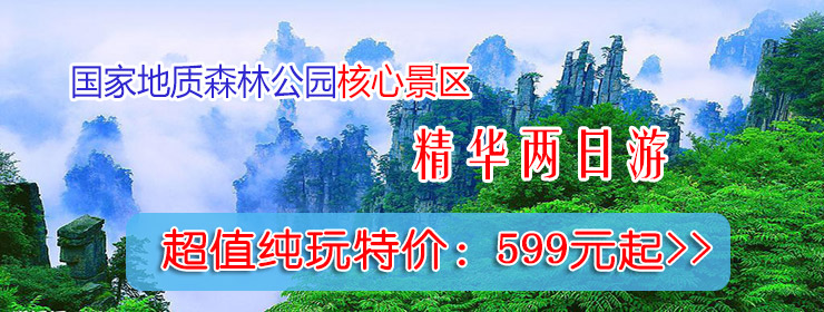 山東泰安東岳泰山衡器有限公司